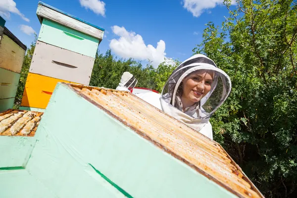 Жіночий бджоляр працюють з колегою на пасіці — стокове фото