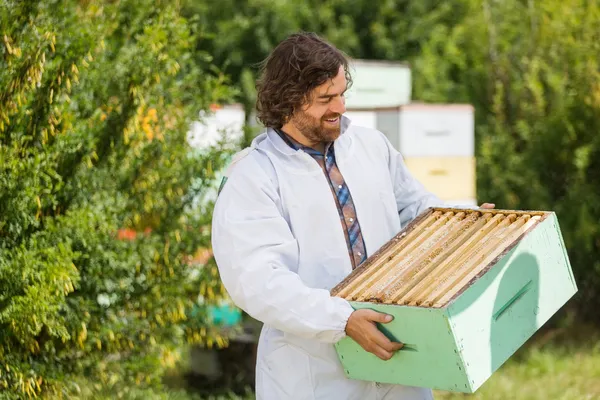 Imker krat vol honingraten kijken — Stockfoto