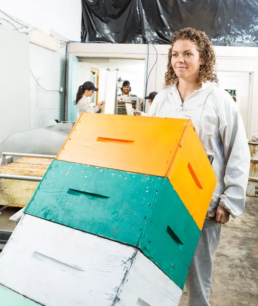 Beekeeper Pushing Trolley Of Stacked Honeycomb Crates — Stock Photo, Image