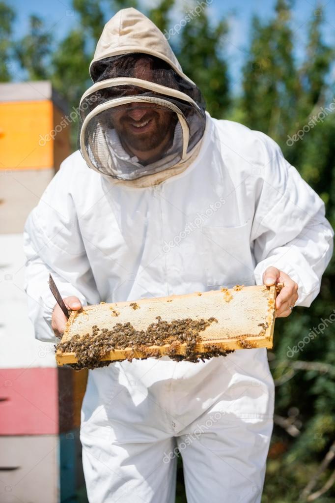Beekeeper Inspecting Honeycomb Frame At Apiary