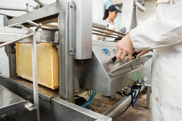 Beekeeper Operating Honey Extraction Plant — Stock Photo, Image