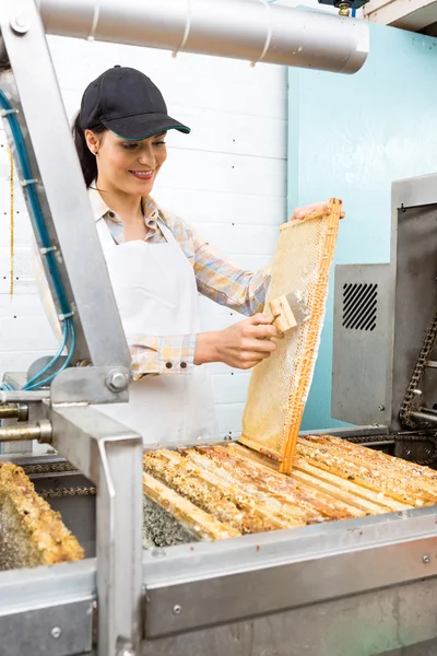 Imker putzt Bienenwaben an Gewinnungsanlage — Stockfoto