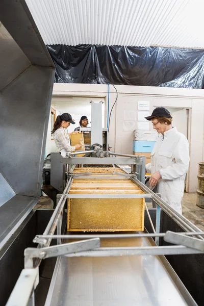 Kvinnliga biodlare arbetar på honung utvinning fabrik — Stockfoto