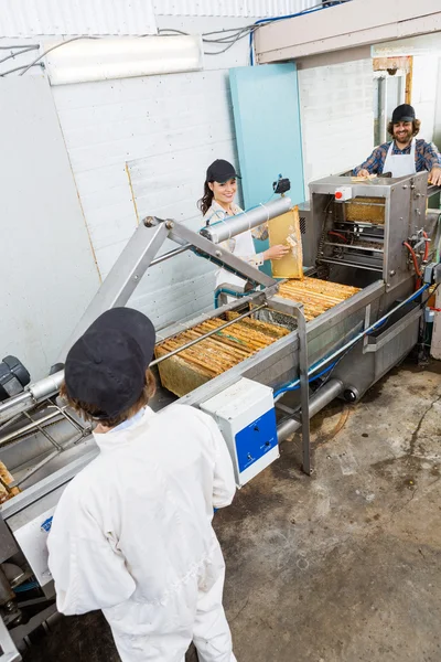 Apicultores que trabajan en planta de extracción de miel —  Fotos de Stock