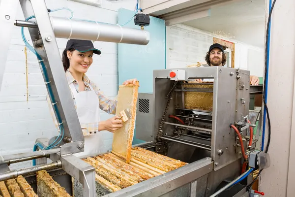 Felice apicoltori che lavorano presso l'impianto di estrazione del miele — Foto Stock