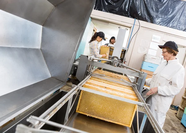 Apiculteurs extrayant le miel de la machine — Photo