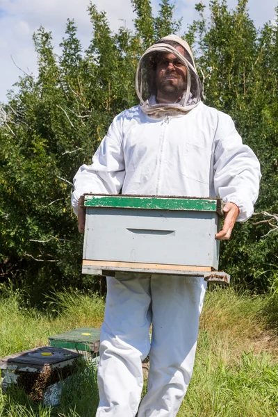 Imker trägt Bienenwabenkasten — Stockfoto