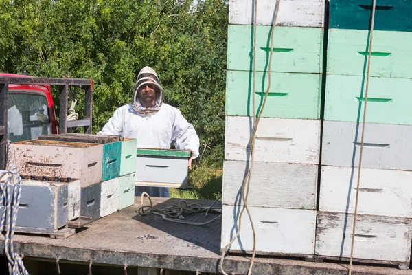Μελισσοκόμος φόρτωση κηρήθρα κλουβί σε φορτηγό — Φωτογραφία Αρχείου