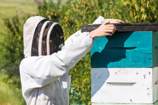 Včelaře s dým desky — Stock fotografie