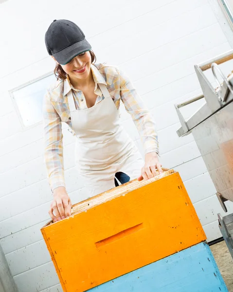 Female Beekeeper Arranging Honeycomb Frames — Stock Photo, Image