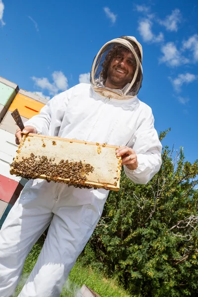 Imker hält Wabenrahmen am Bienenhaus — Stockfoto