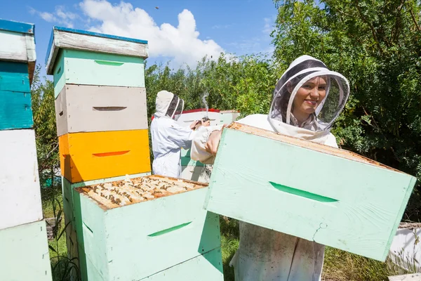 Imker arbeitet mit Bienenkollegin zusammen — Stockfoto