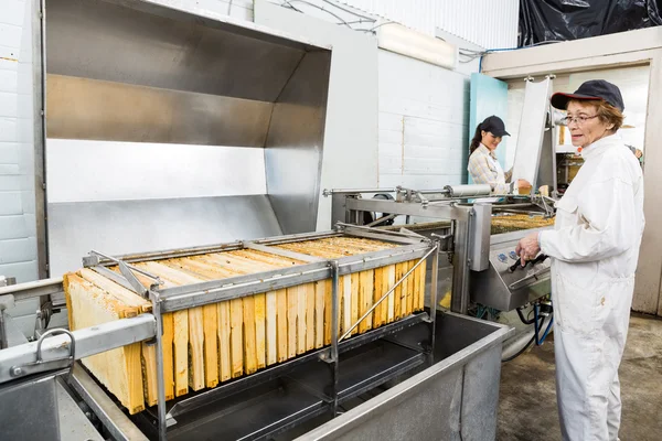 Female Beekeeper Operating Honey Extraction Plant — Stock Photo, Image