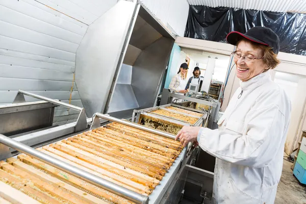 Zufriedener Imker arbeitet an Honiggewinnungsmaschine — Stockfoto