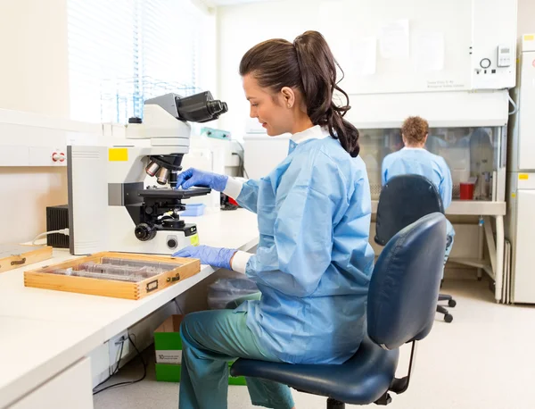 Wetenschapper werkzaam in laboratorium — Stockfoto