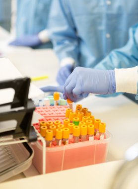 testtubes ile çalışan bilim adamı