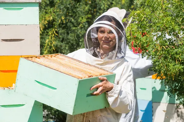 Portrait de l'apiculteur travaillant à l'apiculture — Photo