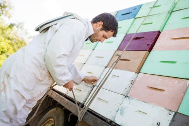 Petek sandıkları arıcı ipe ipe dizilir