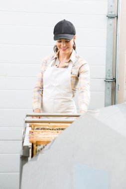 arıcılık fabrikasında çalışmaya arıcı