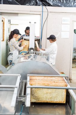 Makine Fabrikası bal ayıklarken arıcılar