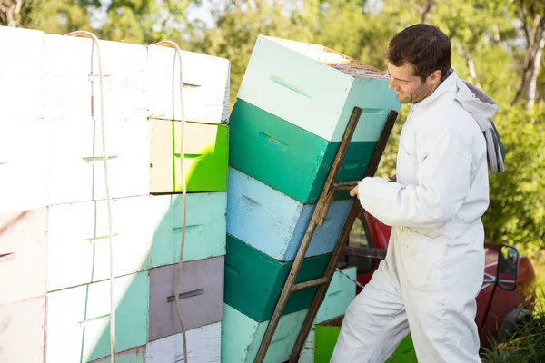 Imker beladen gestapelte Bienenwabenkisten — Stockfoto