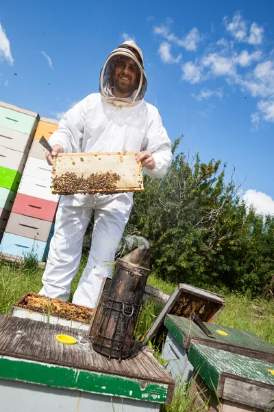 Beekeeper Holding Honeycomb Frame On Farm — Stock Photo, Image