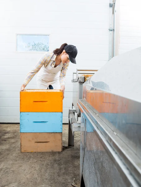 Imker met gestapelde honingraat kratten in fabriek — Stockfoto