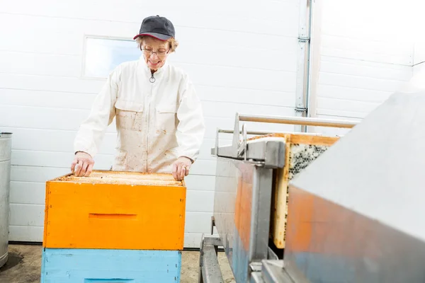 Imker met honingraat kratten in fabriek te werken — Stockfoto