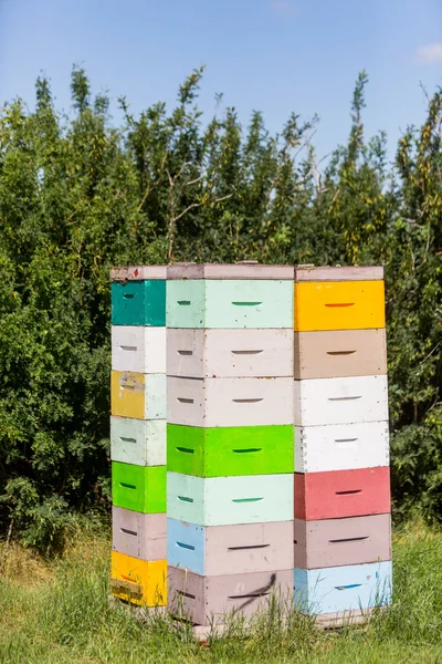 Empilements de caisses en nid d'abeille — Photo
