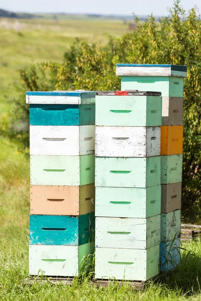 Caisses en nid d'abeille multicolores — Photo