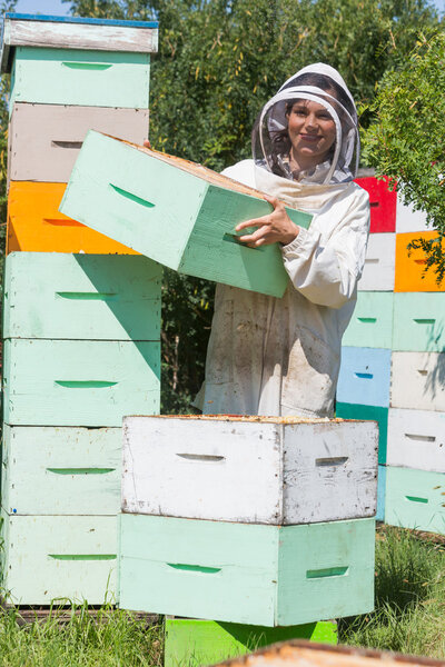 Beekeeper Carrying Honeycomb Box At Apiary