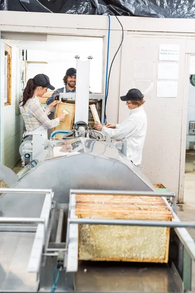 Apicoltori che estraggono miele dalla macchina in fabbrica — Foto Stock