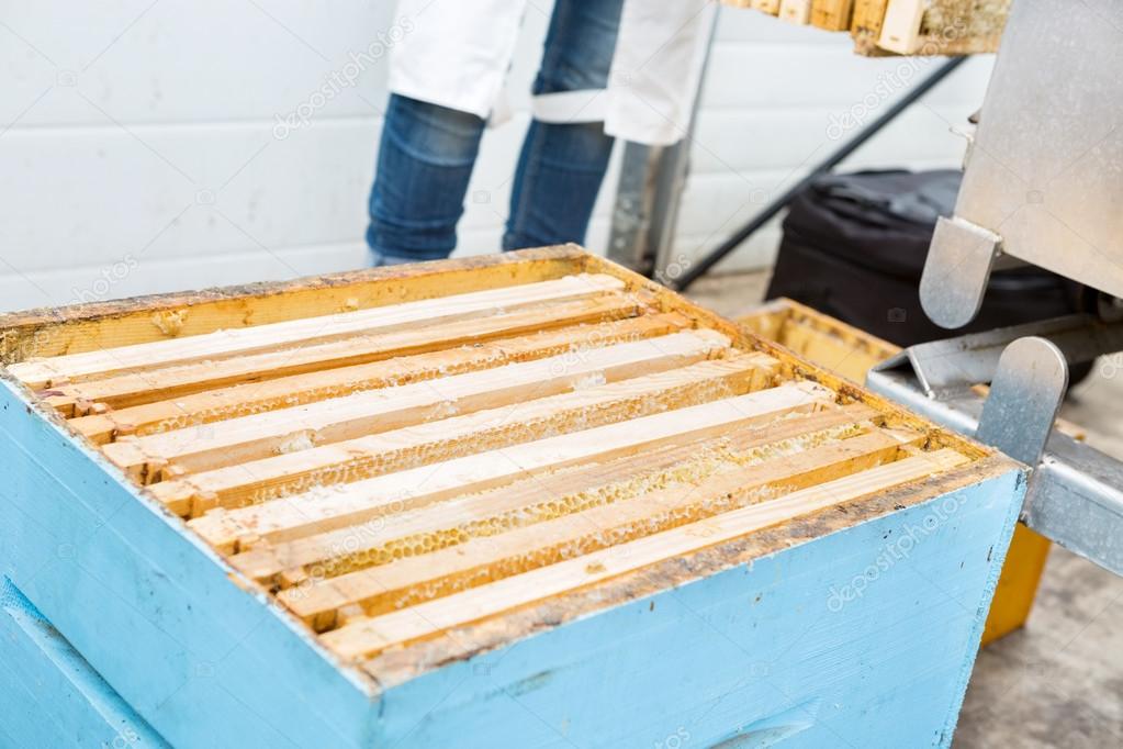 Closeup Of Honeycomb Frames In Apiary