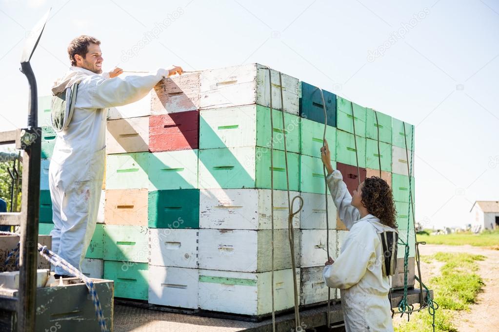 Beekeepers Loading Honeycomb Crates In Truck