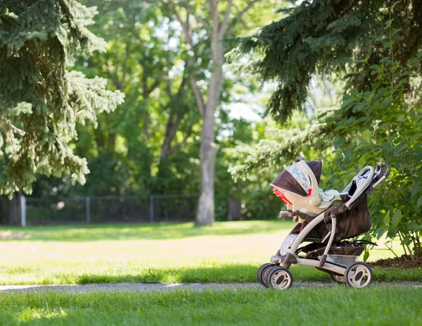 Baby Stroller В Парку — стокове фото
