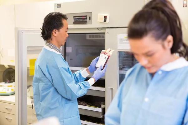 Armazenamento de banco de sangue — Fotografia de Stock