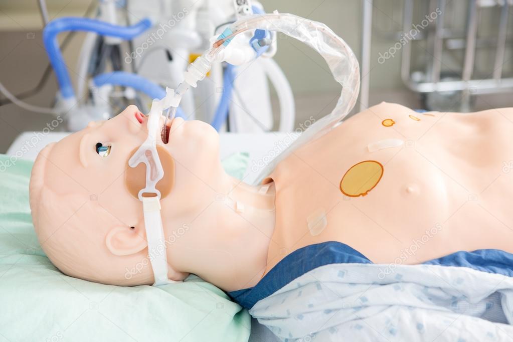 Endotracheal Tube Attached To Dummy