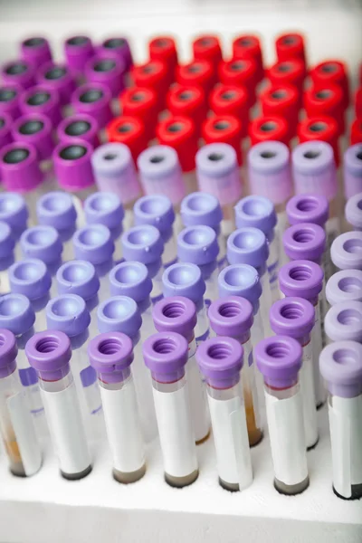 Tubos de ensayo con códigos de barras en laboratorio — Foto de Stock