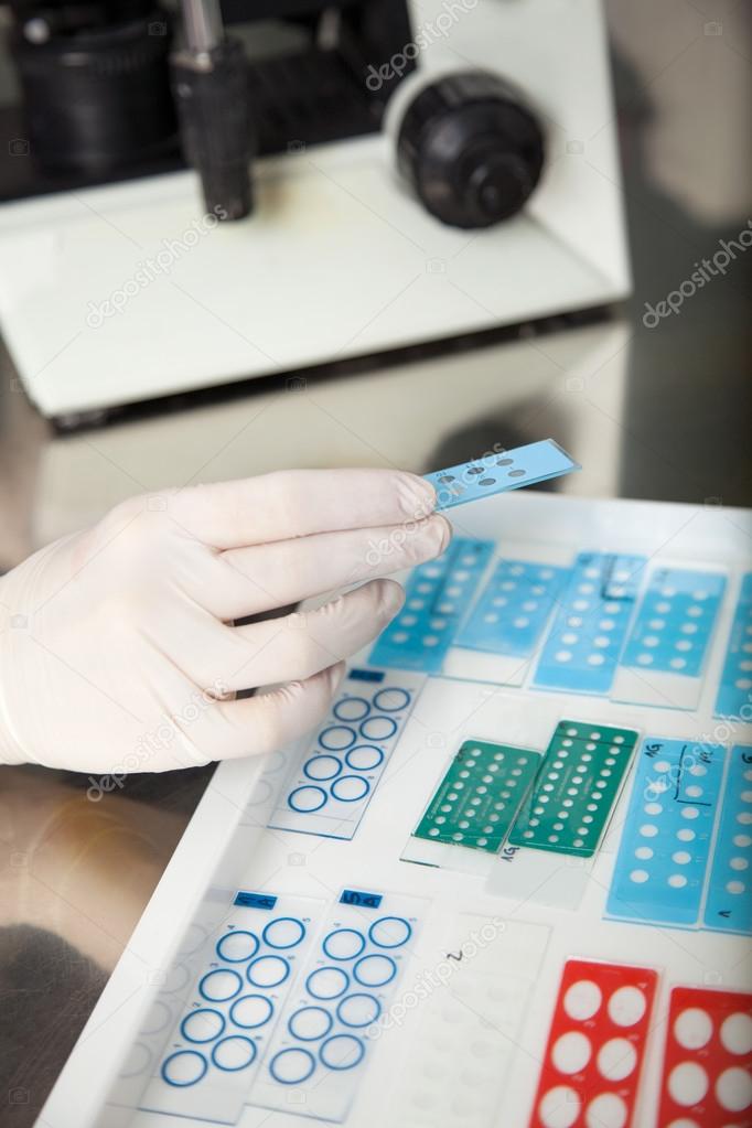 Scientist Holding Microscope Slide