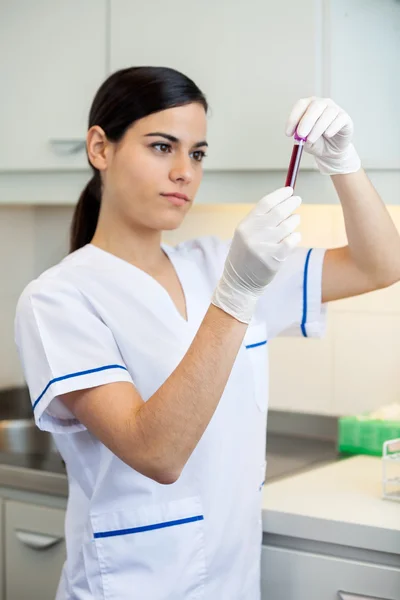 Técnico Analisando Amostra de Sangue — Fotografia de Stock