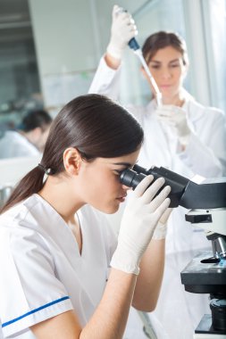 kadın araştırmacı mikroskop kullanarak