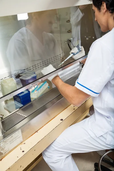 Technician Experimenting In Laboratory — Stock Photo, Image