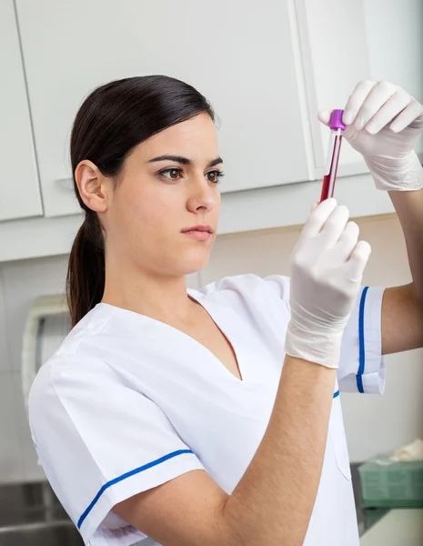 Técnico Analisando Amostra de Sangue — Fotografia de Stock