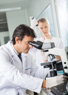 Laboratuarda mikroskop kullanarak erkek bilim adamı