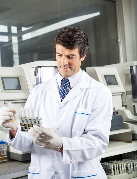 Tecnico Analizzando campioni di urina in laboratorio — Foto Stock