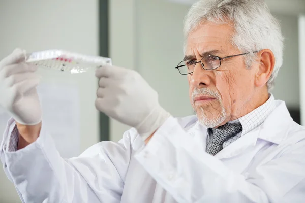 Wetenschapper onderzoeken microplate in laboratorium — Stockfoto