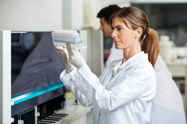 Técnico Analisando amostras — Fotografia de Stock