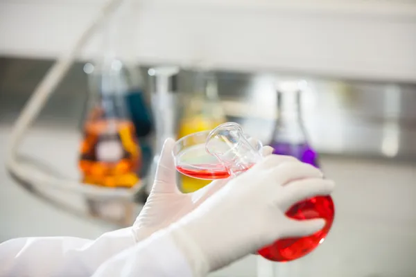Scienziato versando liquido rosso nel piatto di Petri — Foto Stock