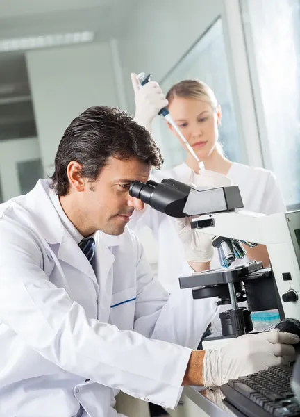 Male Scientist Using Microscope In Lab Royalty Free Stock Photos