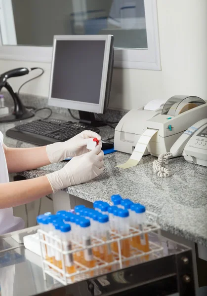 Tekniker märkning provrör i laboratorium — Stockfoto